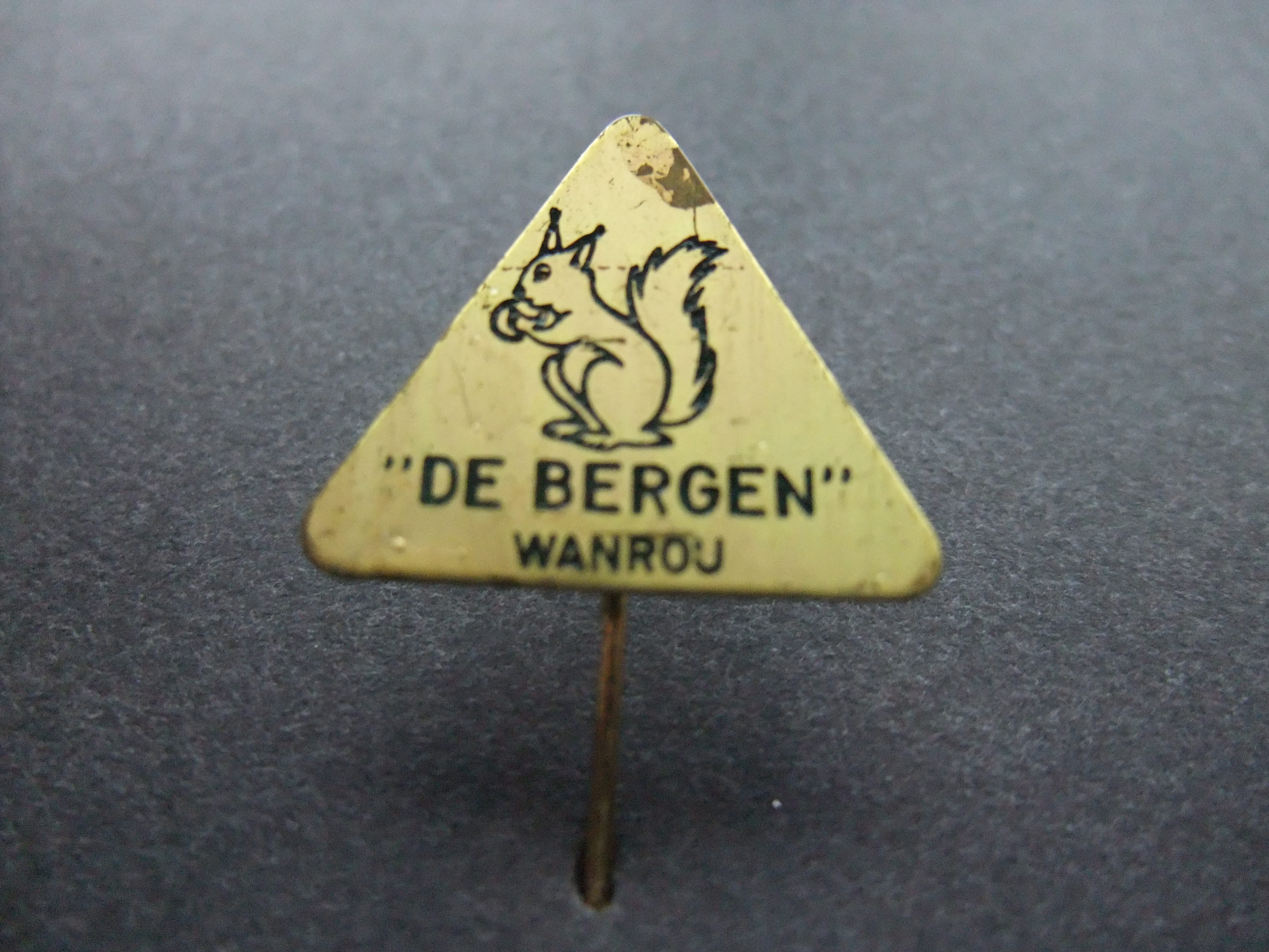 Camping vakantiepark de Bergen Wanroij Noord-Brabantse gemeente Sint Anthonis eekhoorn